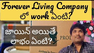 Forever Living Company Work Details  Benefits in Forever Living Company [upl. by Anoniw]