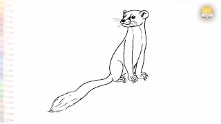 Weasel drawing  Outline drawings easy  How to draw A Weasel step by step  artjanag [upl. by Publia85]