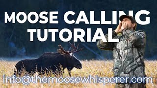 HOW TO CALL A MOOSE  Mastering Moose Calls A Comprehensive Tutorial moosehunting moosecraft [upl. by Thorny]