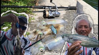 Singapore Fishing  First time try Eging at St John’s Island  Candat Sotong Mabang  Eging Squid [upl. by Naujed90]