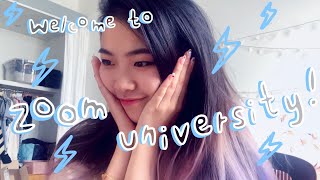 ⭐️My First Day of Online Art School  RISD Daily Vlog 5  Tiffany Weng [upl. by Rosemonde]