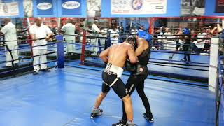 Teofimo Lopez Sparring Gervonta Davis [upl. by Gnaoh]