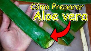 Cómo se Consume el Aloe vera o Sábila [upl. by Nnylyak]