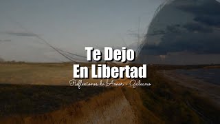 HAASH  Te Dejo en Libertad Primera Fila  Hecho Realidad En Vivo [upl. by Dorelia]