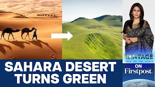 Sahara Turns Green Should we Celebrate or Worry  Vantage with Palki Sharma [upl. by Eanehs]