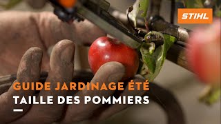 Taille des pommiers  Guide jardinage été [upl. by Eileme673]