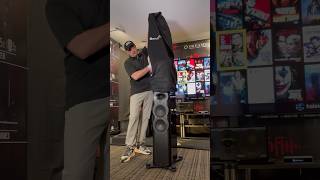 😍Perlisten R7T REVEAL hometheater homecinema music audio florida home dreamedia [upl. by Tram]