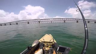 Bahia Honda Shark attacks Barracuda by Hobie Pro Angler [upl. by Searby]