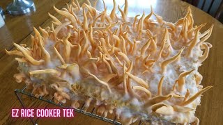 HOW TO GROW CORDYCEPS MUSHROOMS Tips and Tricks from Start to Finish Cordyceps militaris [upl. by Llevart]