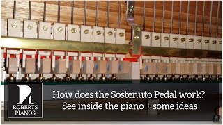 How does the Sostenuto middle pedal on a grand piano work See the mechanism inside the piano [upl. by Drucilla637]