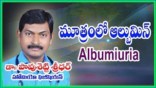 Albumin in Urine Treatment in Telugu l మూత్రంలో అల్బుమిన్ l Homeopathy l Dr Pavushetty Sreedhar [upl. by Aihsemat]