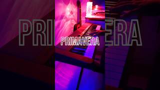 Primavera  Ludovico Einaudi  Piano Cover  piano pianocover shorts [upl. by Veda]