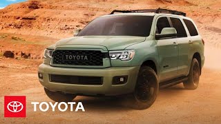 2022 Sequoia Overview  Toyota [upl. by Lyssa409]