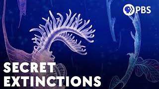 The Huge Extinctions We Are Just Now Discovering [upl. by Balf]