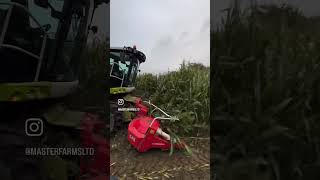 Maize Silage 2024 complete ✅ Claas Jaguar John Deere farming claas johndeere KemperVideo [upl. by Boatwright353]