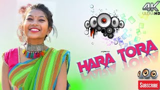 HARA TORANew Santhali Dj Song 2022New Santhali Dj Remix 2022 ST REMIX Dj Shubham Sulendar [upl. by Ettolrahs962]