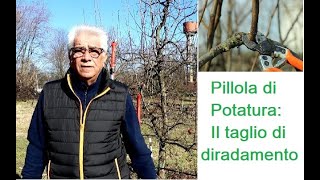 Pillola di potatura taglio di diradamento [upl. by Nivanod]