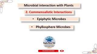 Commensalism  Microbial interaction with plants part2 bacteriology plant [upl. by Kessiah178]