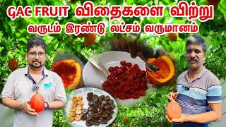 Gac Fruit விதைகளை விற்று வருடம் இரண்டு லட்சம் வருமானம்  Gas Fruit  Country Farmss [upl. by Attiuqihc704]