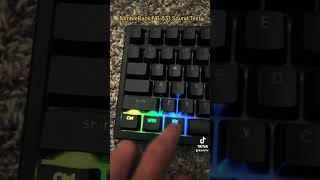 NimbleBack LTC NB831 soundtest machanicalkeyboard [upl. by Regor]