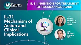 IL 31 Mechanism of Action and Clinical Implications for Prurigo Nodularis [upl. by Attelrahc]