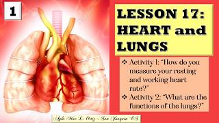 SCIENCE IV Lesson 17 Heart and Lungs [upl. by Narut]