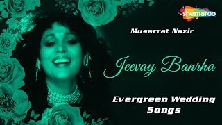 Punjabi Marriage Songs  Jeevay Banrha  Evergreen Wedding Songs  Musarrat Nazir [upl. by Orodoet]