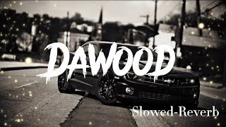 DAWOODSONGSLOWEDREVERBNEW SONG  LOFI SONG  VIDEOTREANDINGVIRAL [upl. by Isnam428]