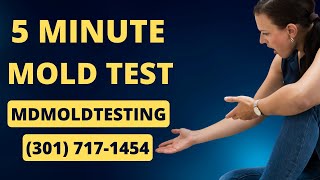 How To Test For Black Mold In 5 Minutes Best Mold Testing Chevy Chase Maryland [upl. by Popele]