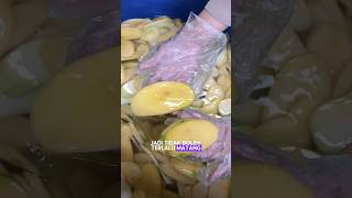 INTIPP‼️ PROSES BUAT KRIPIK MANGGA🥭‼️REMAJA SUKSES OMSET JUTAAN HARI HANYA DENGAN BISNIS ONLINE💸 [upl. by Trik]