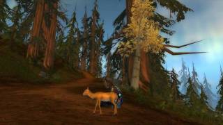 World of Warcraft MiniPet Little Fawn [upl. by Ecyac]