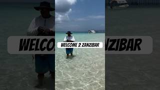 Zanzibar is paradise zanzibar africa travel island tanzania [upl. by Barhos]