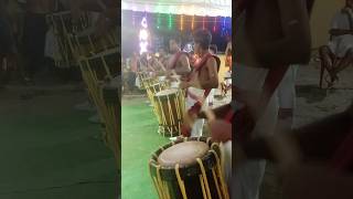 ayyappa pooja drums kerala shorts andhrapradesh viralvideo tamil 7397263710 [upl. by Lacie]