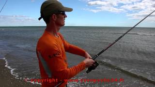 Pêche en surfcasting de la doradedaurade au Petit Travers à Carnon Europêche34 [upl. by Liborio]