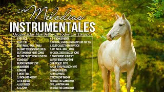 Las 20 Melodias Mas Romanticas Instrumentales  Musica Instrumental De Oro Del Recuerdo [upl. by Assilla105]