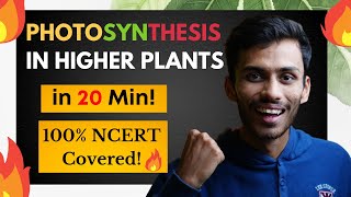 Photosynthesis in Higher Plants FAST One SHOT🔥  Fast Revision in 20 Min  Class 11  NEET [upl. by Primrosa86]