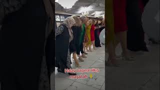 Halay Başına Alkış 😍😍 halay delilo govend shorts halaykürtçe [upl. by Streeter]