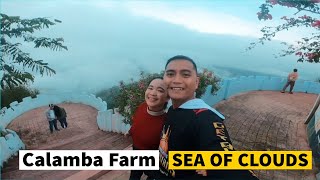 CALAMBA FARM SEA OF CLOUDS MARAGUSAN  AHYE TV [upl. by Riki495]