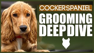 How To Groom Your COCKER SPANIEL [upl. by Nyrrek]