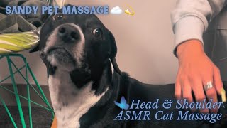 PET ASMR MASSAGE  Head amp Body Massage Dog Edition [upl. by Lennej854]