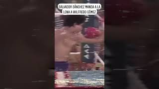 Salvador Sánchez manda a la lona a Wilfredo Gómez boxeomexicano [upl. by Marucci]