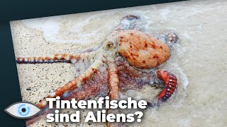 Astrobiologie Tintenfische kommen aus dem All [upl. by Otipaga]