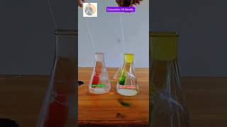 Best Convection VS Density Activity convection density scienceexperimentfacts [upl. by Eelanej]