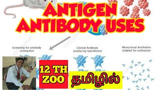 ANTIGEN AND ANTIBODY USES  TAMIL  IMMUNOLOGY  STD 12 [upl. by Nylave]