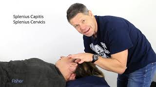 How To Massage  Splenius Capitis and Splenius Cervicis Muscles [upl. by Pansie]