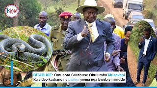 BIZUUSE OMUSOTA OGWALUMBYE M7 GUZUULIDWA EKIGENDERERWA [upl. by Azilem]