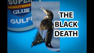 Fly Tying The Black Death Cormorant [upl. by Attenweiler]