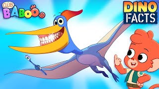 Club Baboo Dino Facts  Learn about Pteranodon [upl. by Dent]