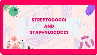 STREPTOCOCCI AND STAPHYLOCOCCI similarities and differences [upl. by Iccir955]