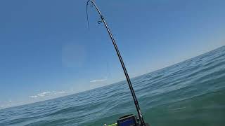 2024 Sea Doo Fish Pro Trophy A few first fish on this rig Montauk NY Fishing [upl. by Nella703]